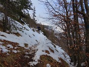 41 Il sent. 599A in decisa salita sul fianco destro boscoso del Vaccareggio